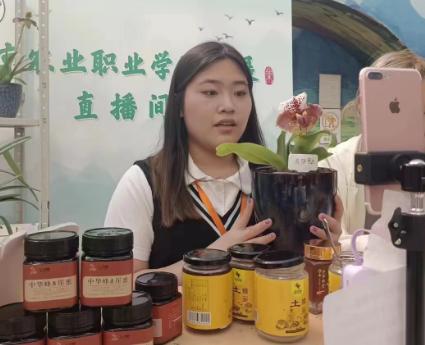 大学生高质量就业1.jpeg