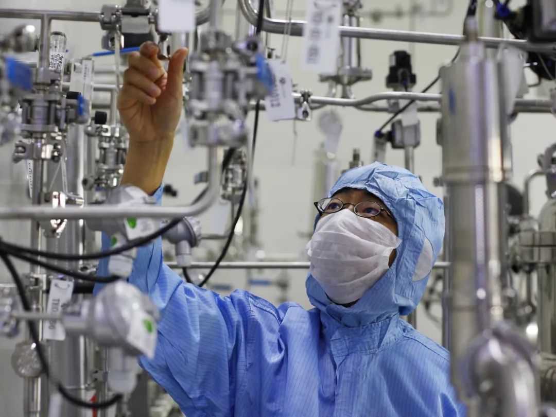 国际一流人才湾区3.jpg