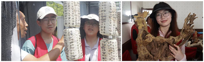 西安财经大学：经济学院“乡”遇柞水县车家河村 助梦乡村文化振兴3.jpg