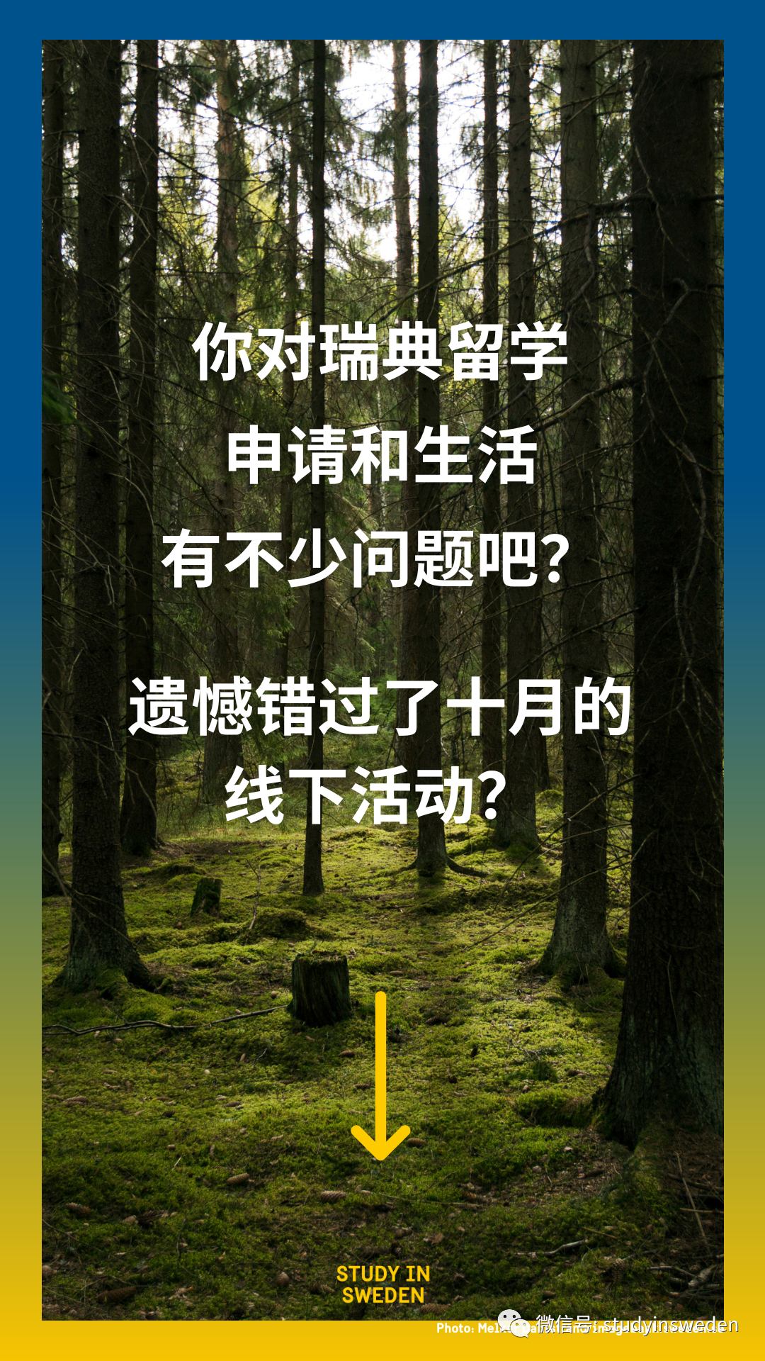 这22所瑞典大学会参加留学瑞典在线教育展，11月22日我们等你来！.jpg