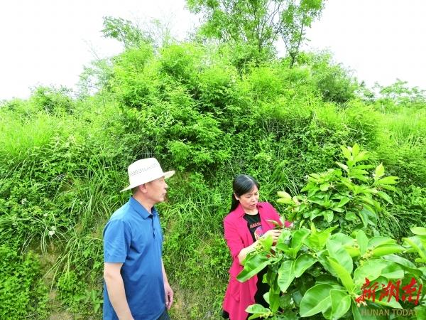 湖南日报专版｜鲲鹏展翅从兹起——常德职业技术学院深化产教融合，推动职教高质量发展4.jpeg