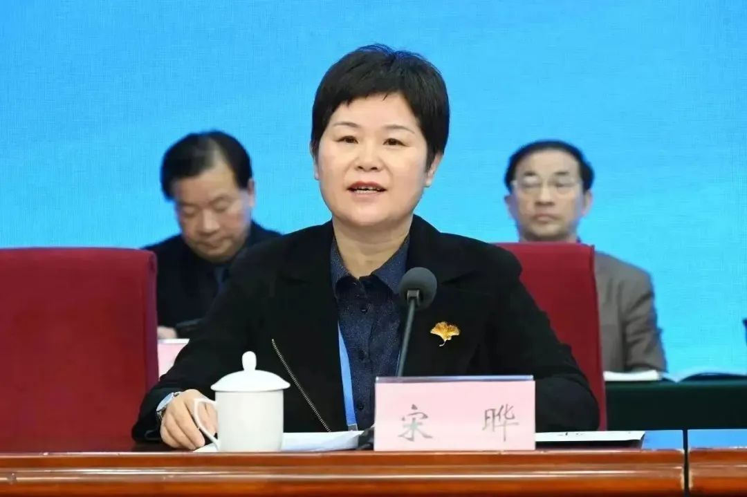 南阳医学高等专科学校承办首届全国心理健康职业教育发展峰会9.jpg