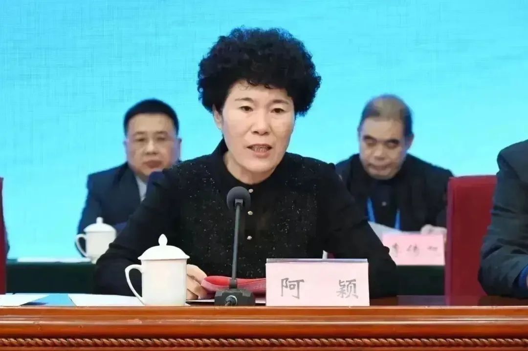 南阳医学高等专科学校承办首届全国心理健康职业教育发展峰会1.jpg