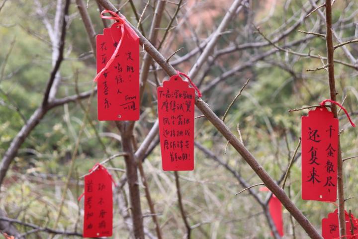 2024年浙江高考首考开启，今年有哪些变化？权威解读1.jpg