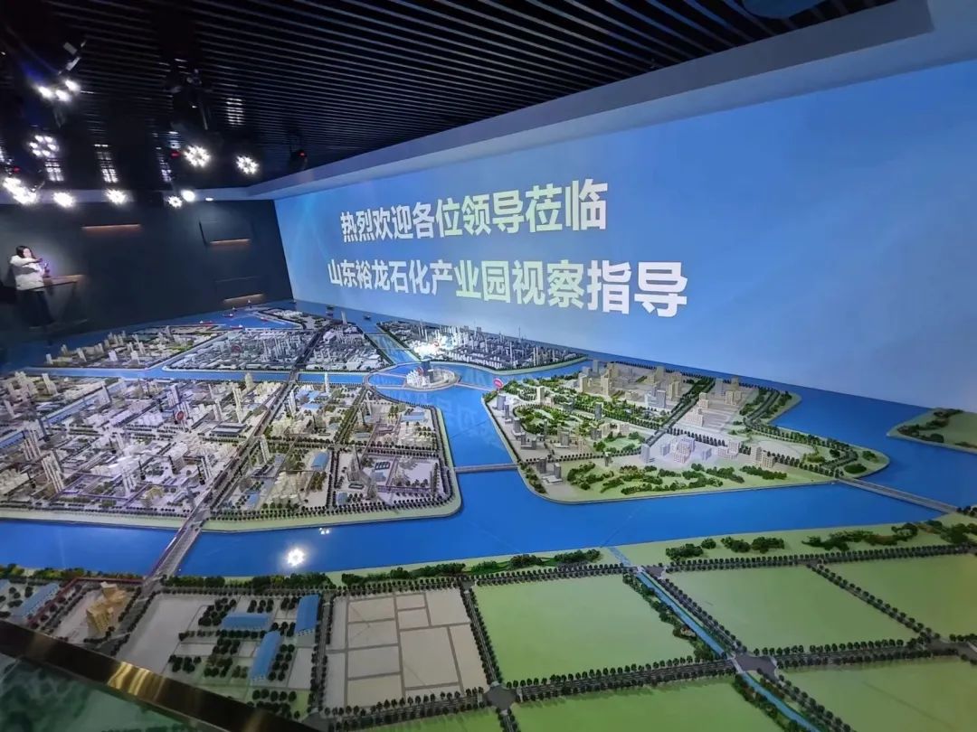 濮阳石油化工职业技术学院牵手山东裕龙石化共建跨区域产教融合共同体3.jpg