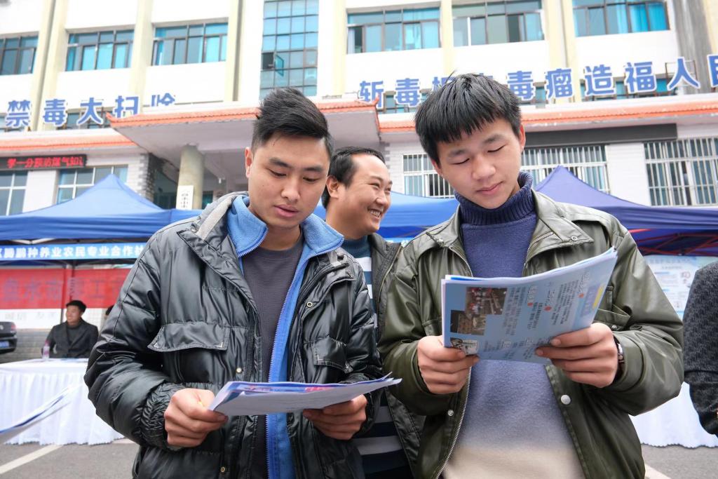 六盘水：“零工市场”助力春茶采摘3.jpg
