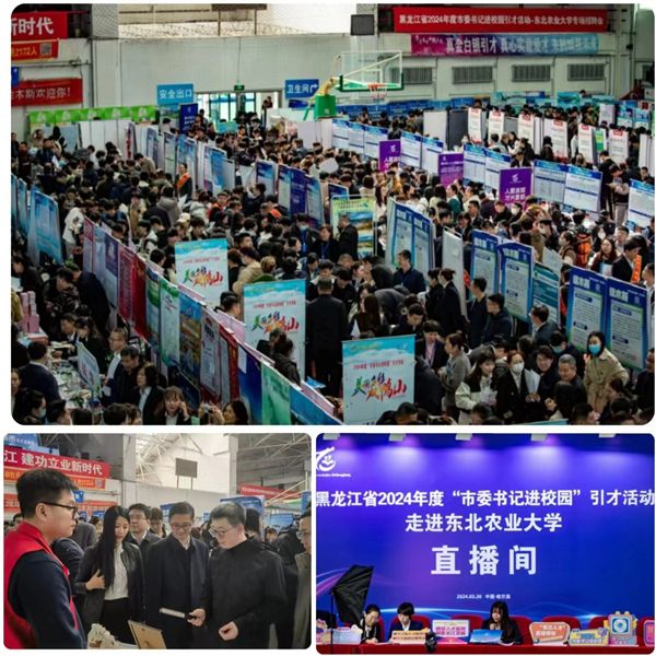 2024年度“市委书记进校园”引才活动专场招聘会在东北农业大学举行1.jpeg