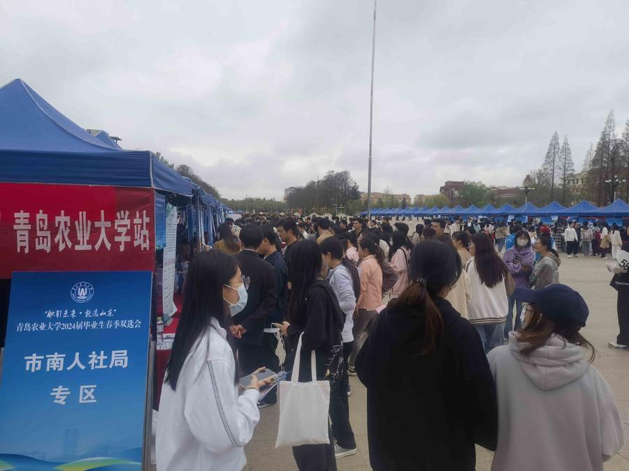 牵线搭建“就业桥”！市南区携手青岛农业大学举办专场招聘会.jpg