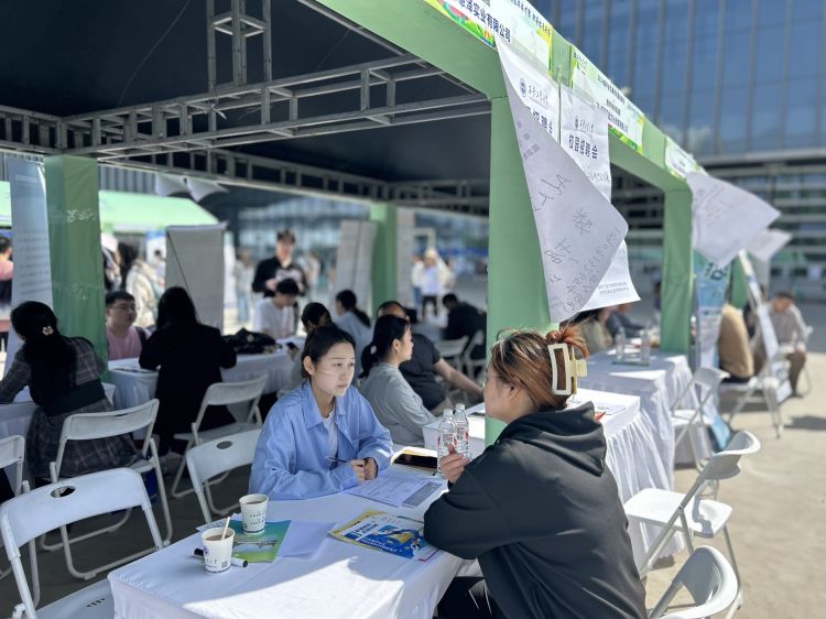 助力毕业生就业，共绘美好未来——未央区人社局联合西安工业大学开展春季校园招聘会3.jpeg